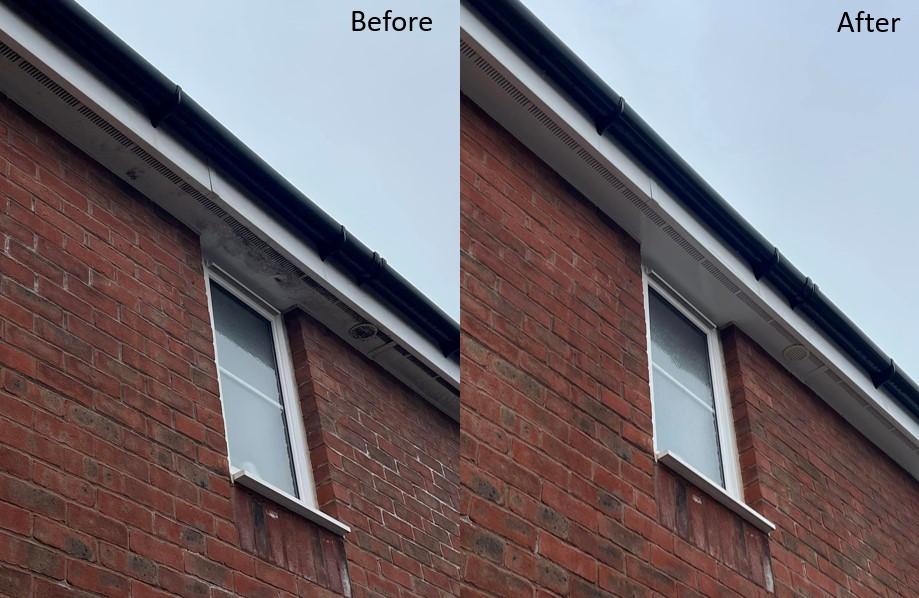 window cleaning photo